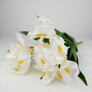 Írisz csokor fehér