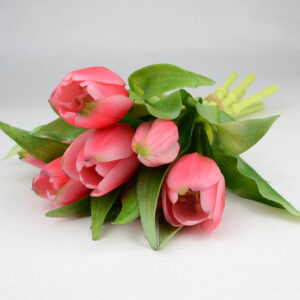 7 ágú gumi tulipán köteg ciklámen