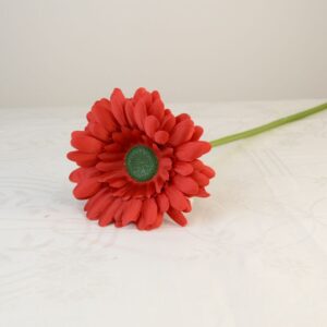 Gerbera piros