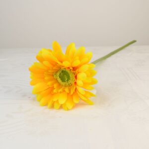 Gerbera sárga