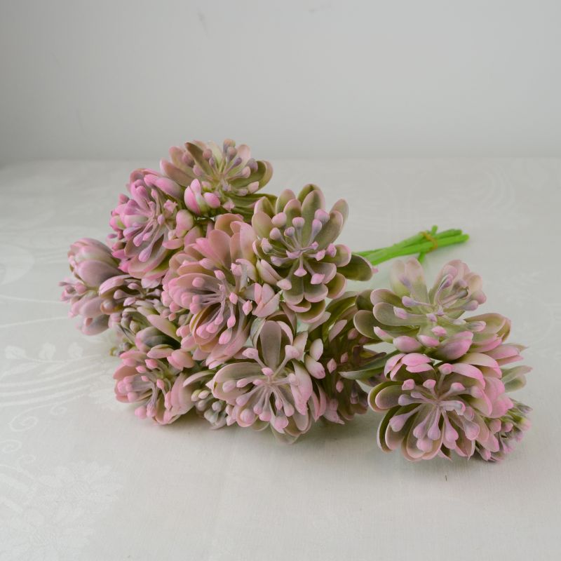 Szálas kövirózsás pikk rózsaszín 1 Szálas kövirózsás pikk rózsaszín