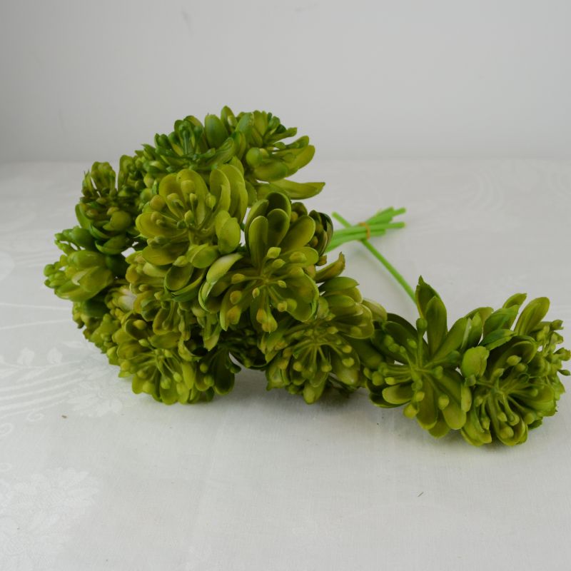 Szálas kövirózsás pikk zöld 1 Szálas kövirózsás pikk zöld