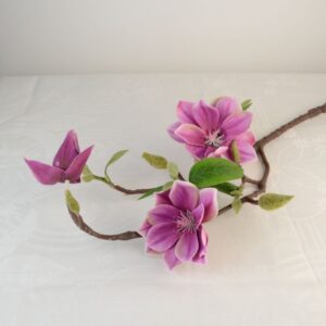 Magnólia ág lila